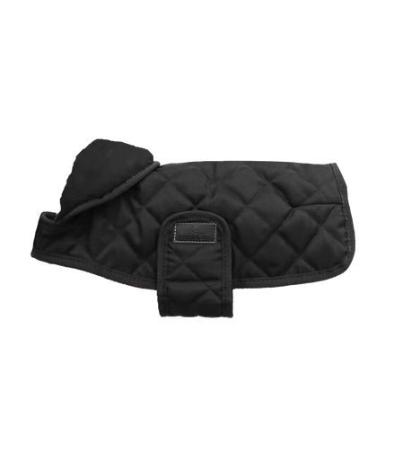 Kentucky Hundejacke Original