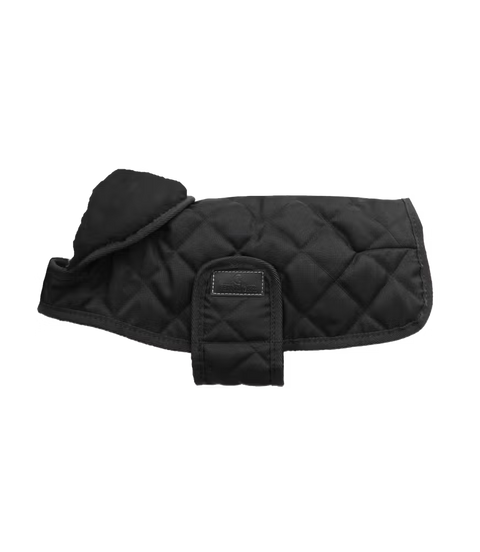 Veste pour chien Kentucky Original