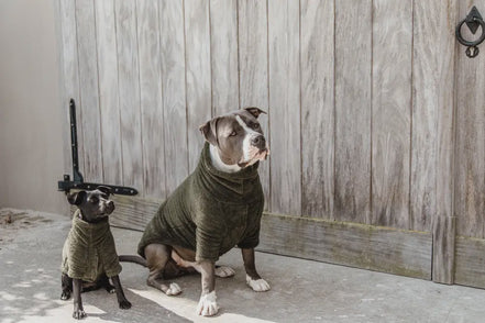 Kentucky Honden sweater Teddy Fleece