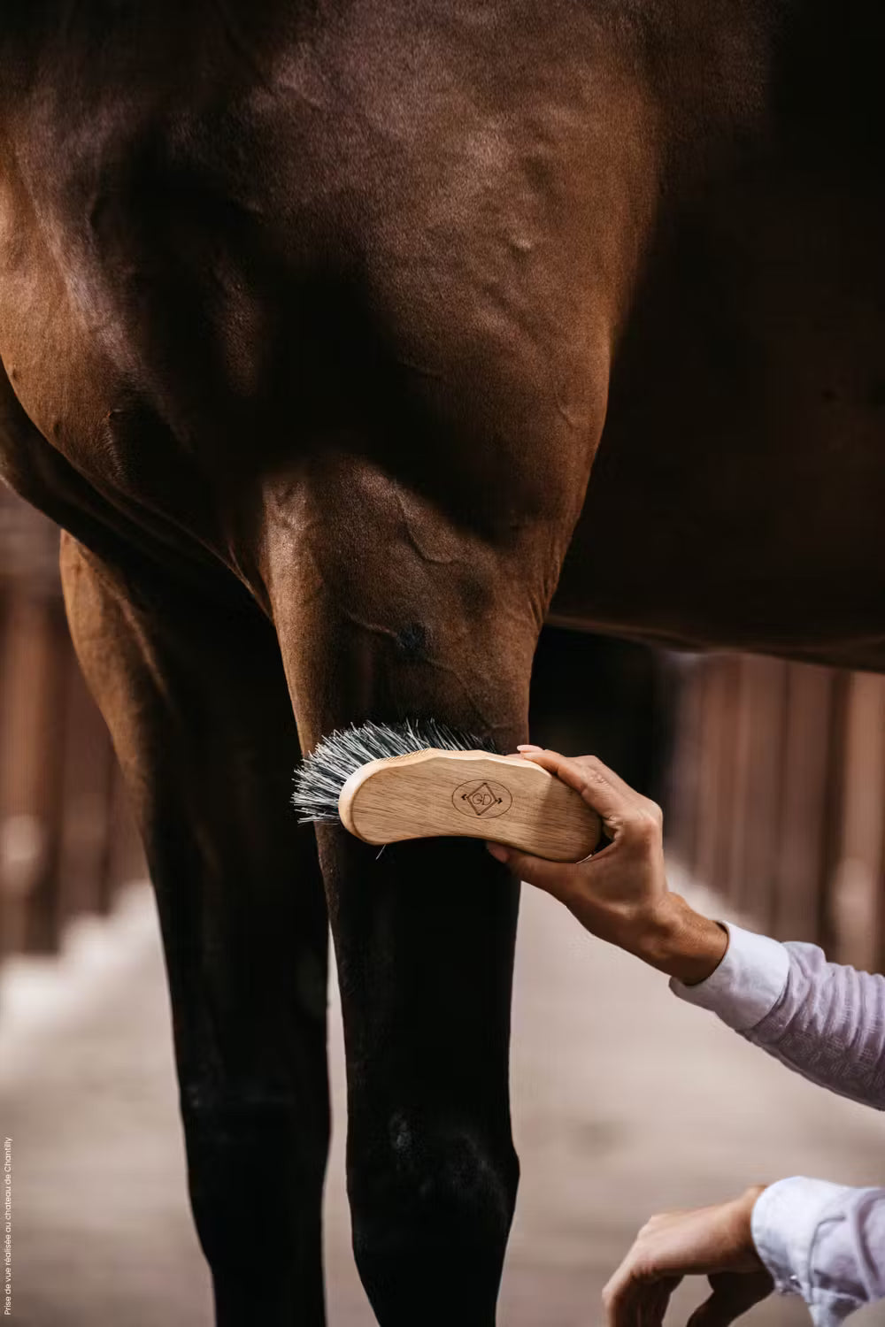 Kentucky Middle hard brush – detailfoto 3
