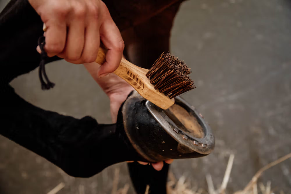 Kentucky Hoof Pick – detailfoto 3