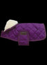 Kentucky Regenjas Hond Paars