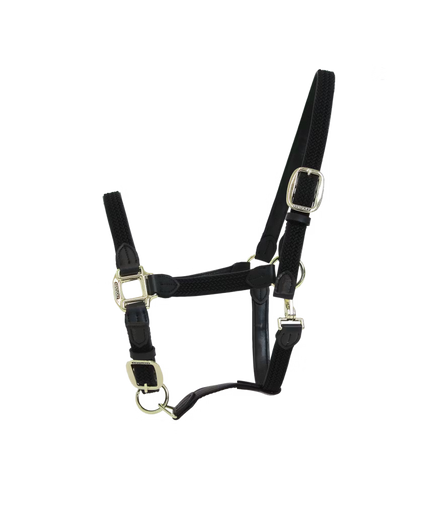 Kentucky geflochtenes Nylonhalfter