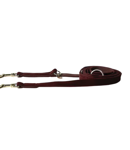 Laisse pour chien Kentucky en velours ajustable
