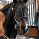 Kentucky Anatomische Leder Halster