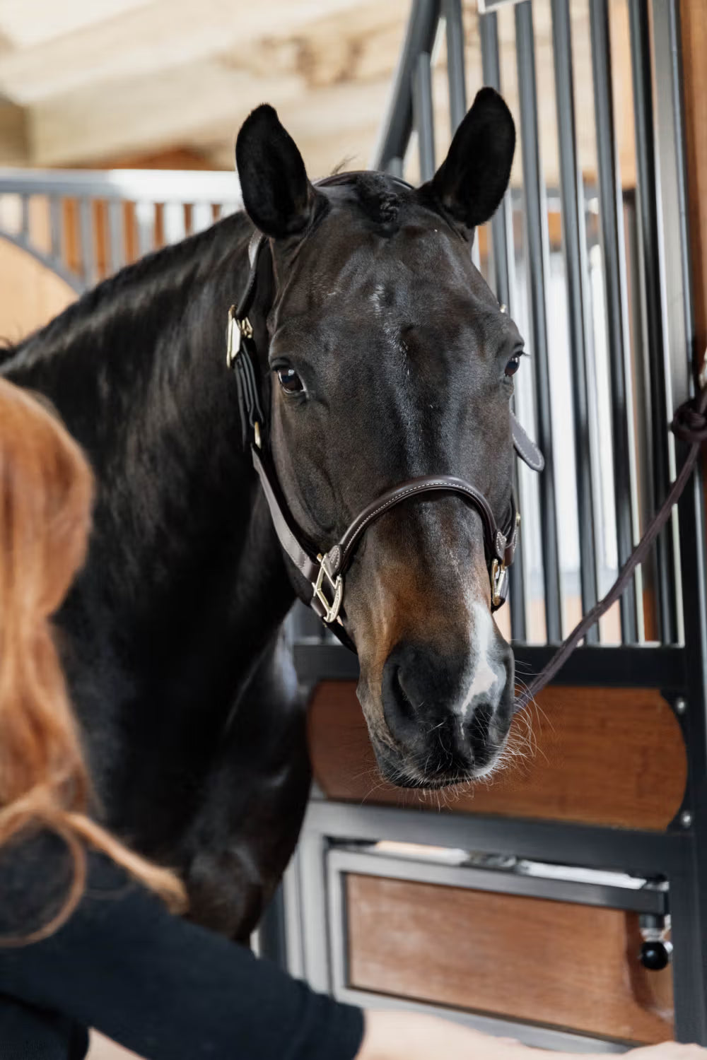 Kentucky Anatomische Leder Halster