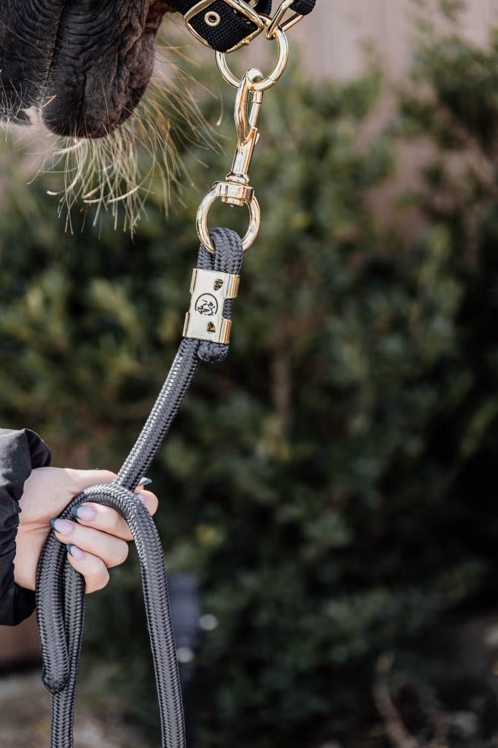 Kentucky Lead Rope Basic Halstertouw Sterk en Betrouwbaar Touwen - Maddelin Equestrian Kentucky