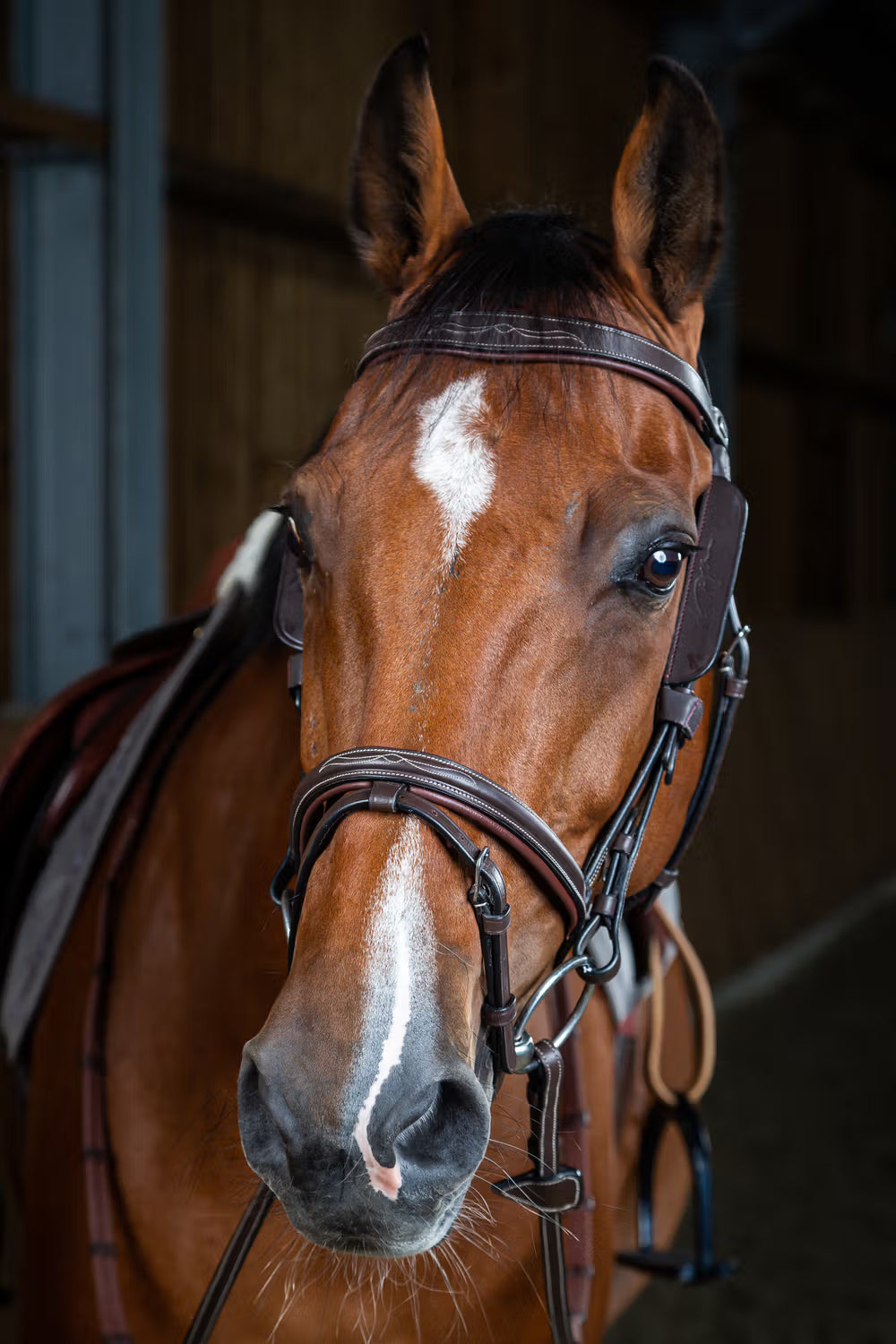Dy’on lederen blinkers – detailfoto 5