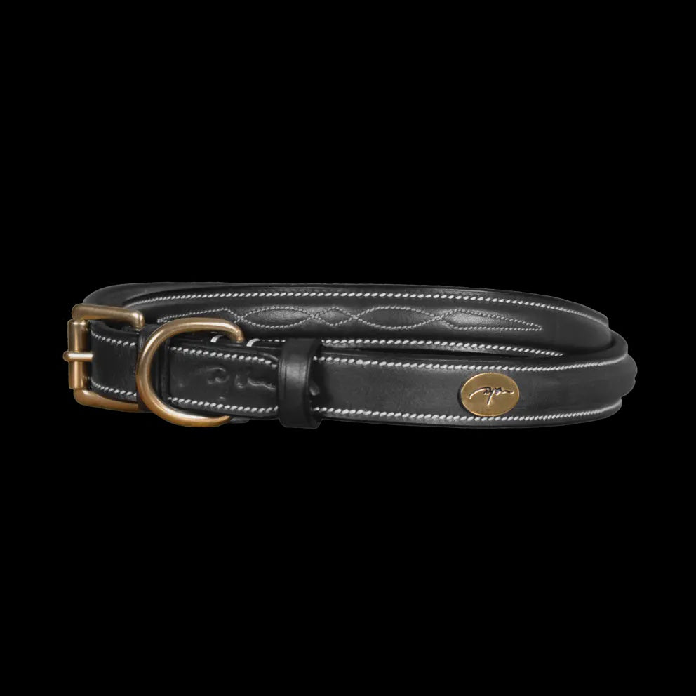 Dy'on Fancy Dog Collar