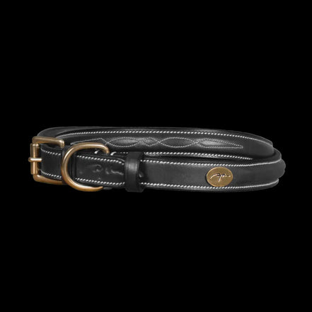 Dy'on Fancy Dog Collar