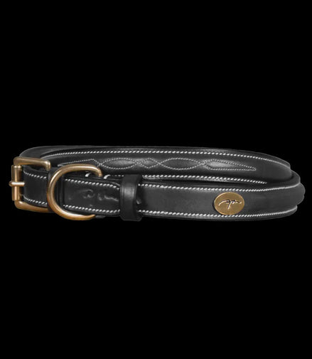 Dy'on Fancy Dog Collar