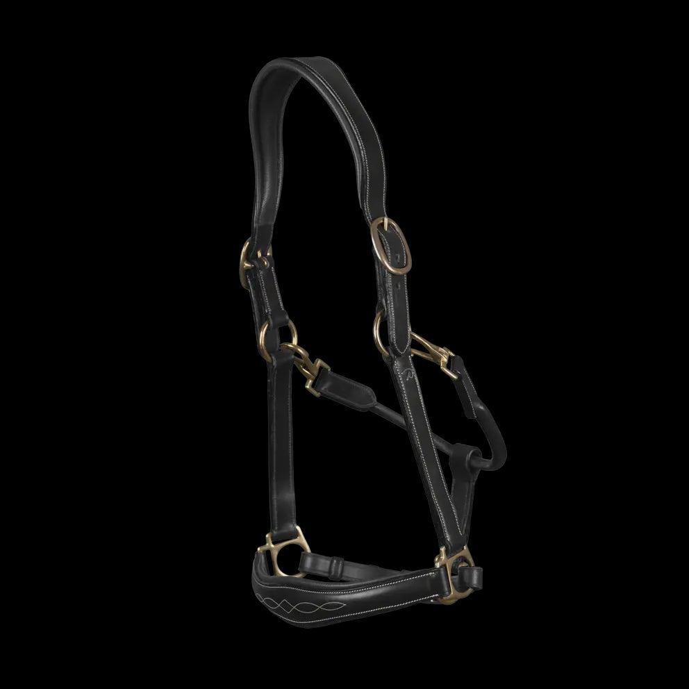 Dy'on Leather Head Collar D-Collection