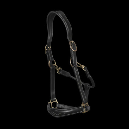 Dy'on Leather Head Collar D-Collection