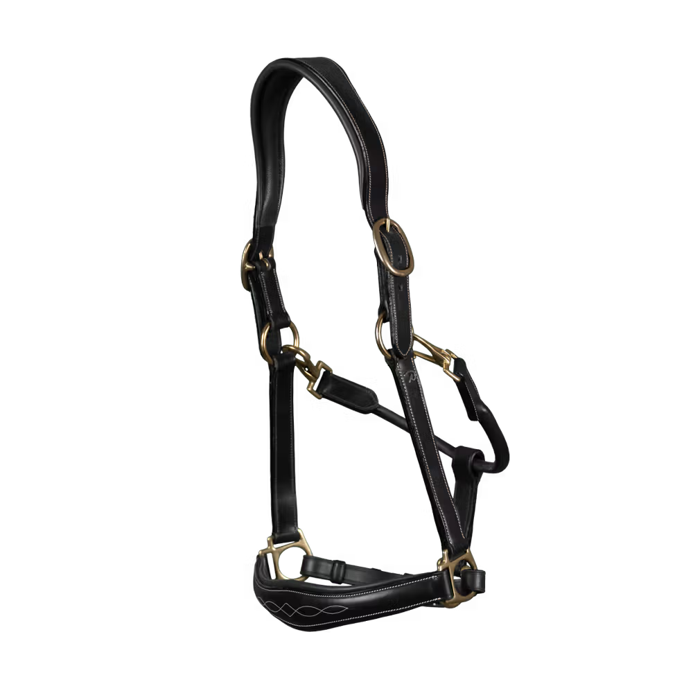 Dy'on Leather Head Collar D-Collection