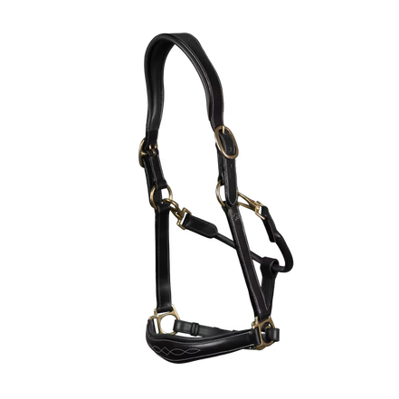 Dy'on Lederhalfter D-Kollektion