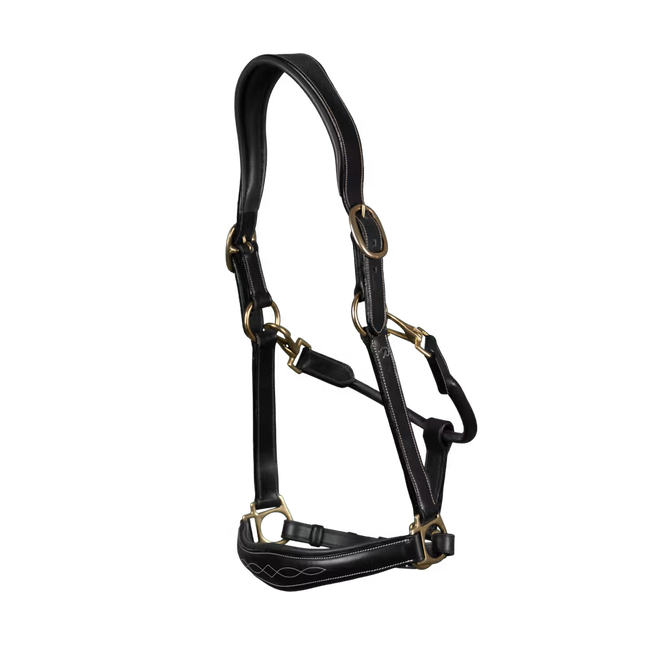 Dy'on Lederhalfter D-Kollektion