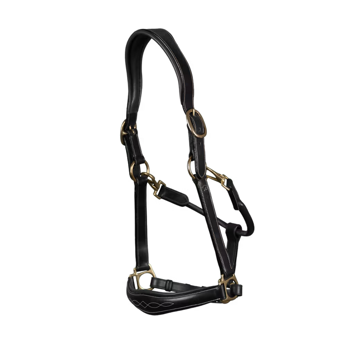 Dy'on Leather Head Collar D-Collection