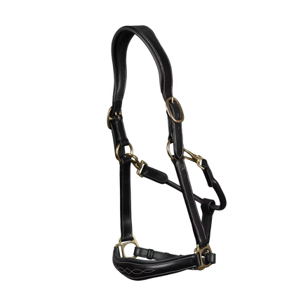 Dy'on Leather Head Collar D-Collection
