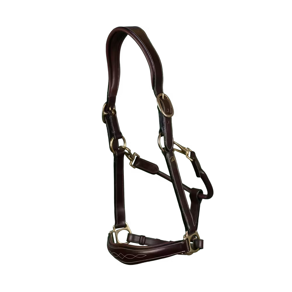 Dy'on Leather Head Collar D-Collection