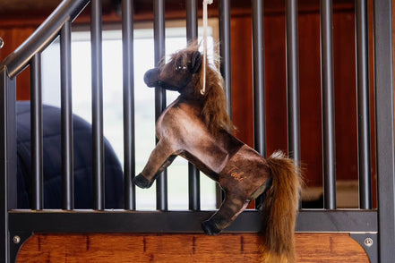 Kentucky Relax Horse Toy