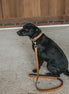 Dy'on Basket Honden Lijn 1m