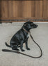 Dy'on Braided Dog Leash Brown 1m