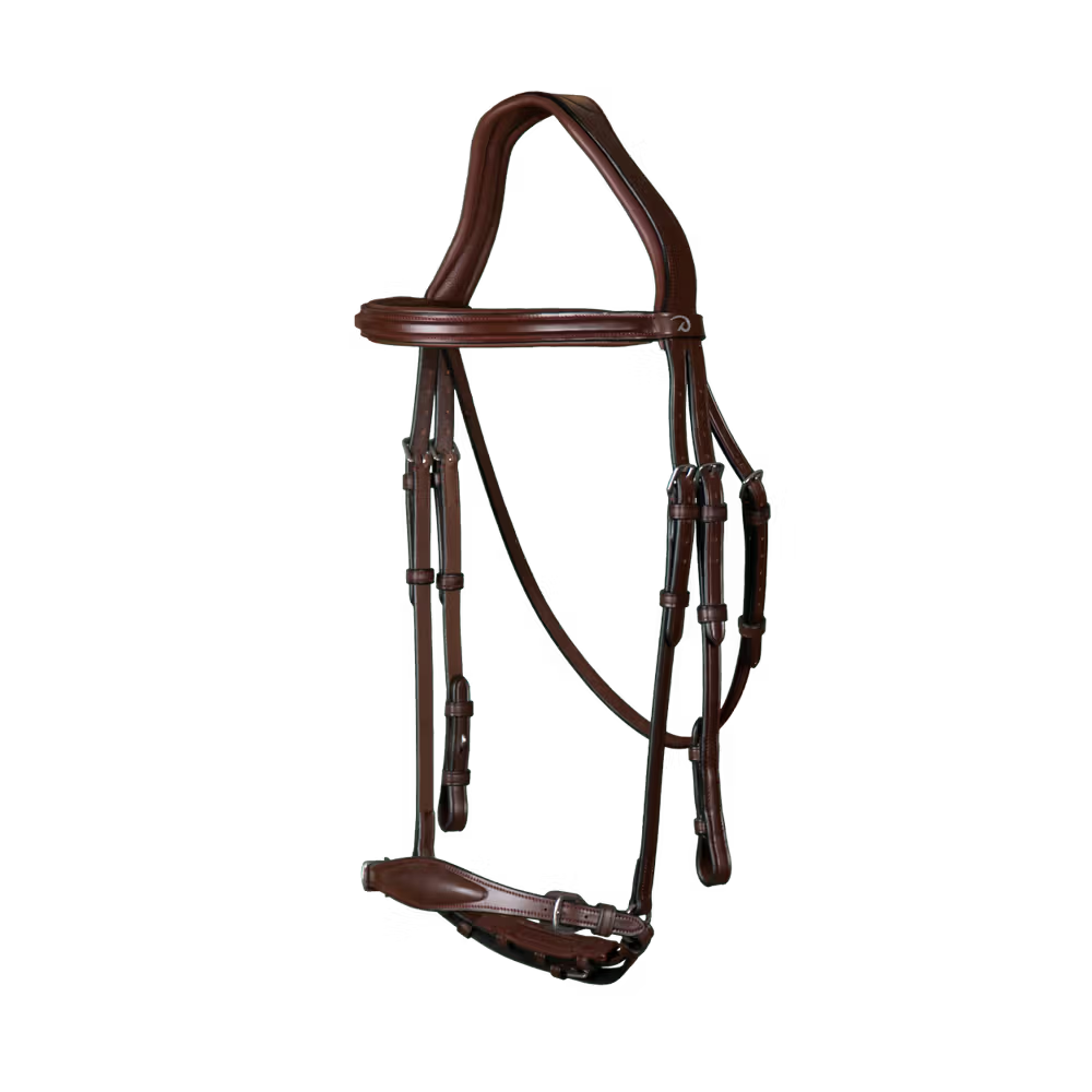 Hoofdstel met aanpasbare Duitse neusriem New English Collection Trenshoofdstellen - Maddelin Equestrian Dy on