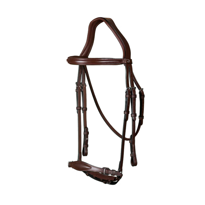 Hoofdstel met aanpasbare Duitse neusriem New English Collection Trenshoofdstellen - Maddelin Equestrian Dy on