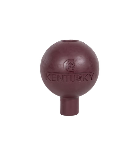 Mur et plomb de protection pour balles en caoutchouc du Kentucky