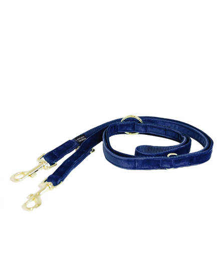 Laisse pour chien Kentucky en velours ajustable