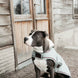 Kentucky Dog Coat Waterdicht 160gr – detailfoto 6