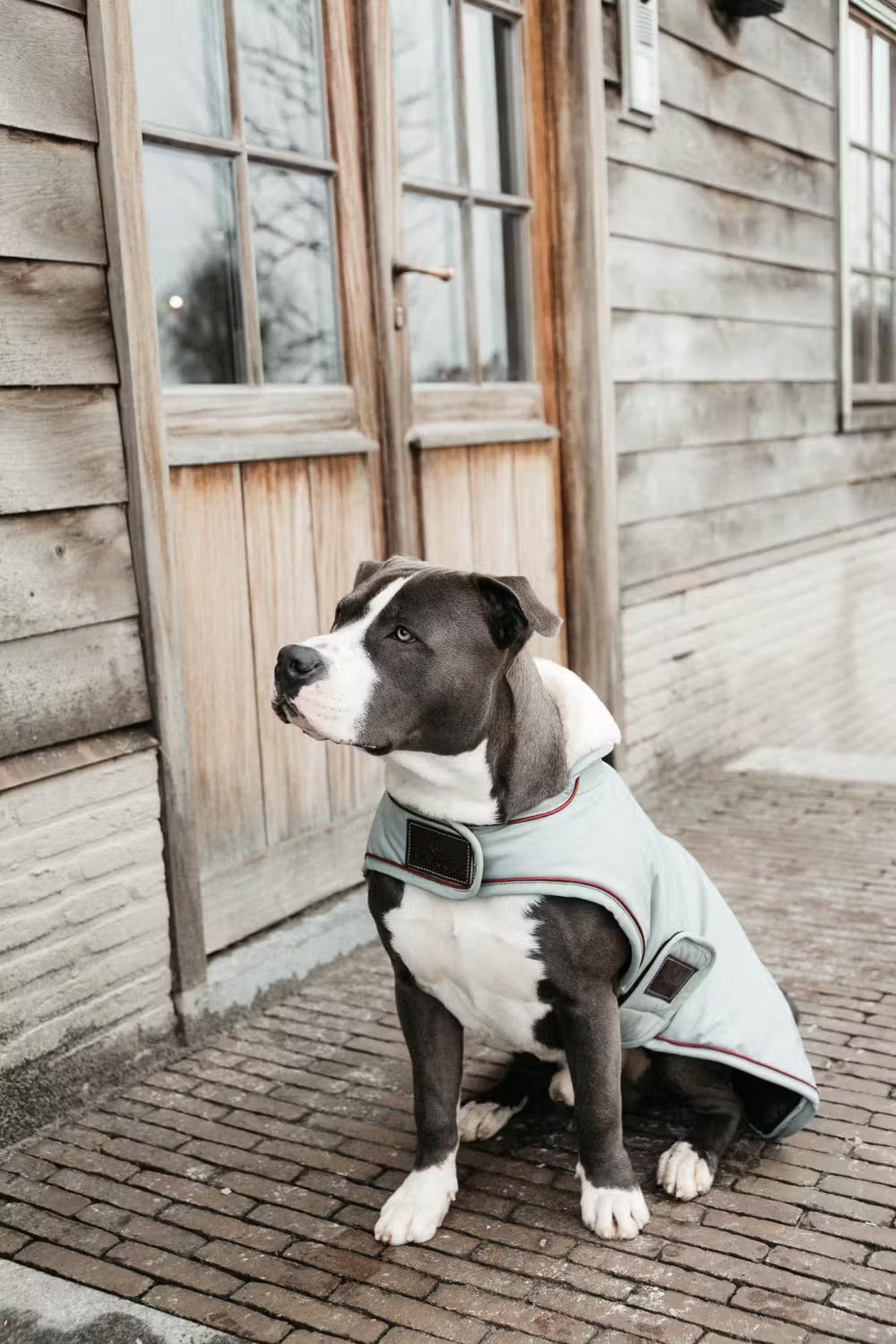 Kentucky Dog Coat Waterdicht 160gr – detailfoto 6