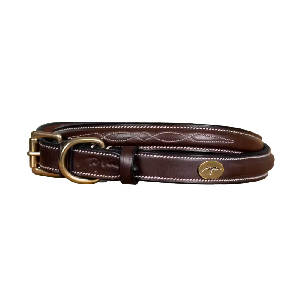 Dy'on Fancy Dog Collar – detailfoto 2