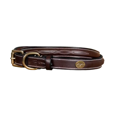 Dy'on Fancy Dog Collar