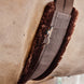 Kentucky Singel wol/Bont – detailfoto 9