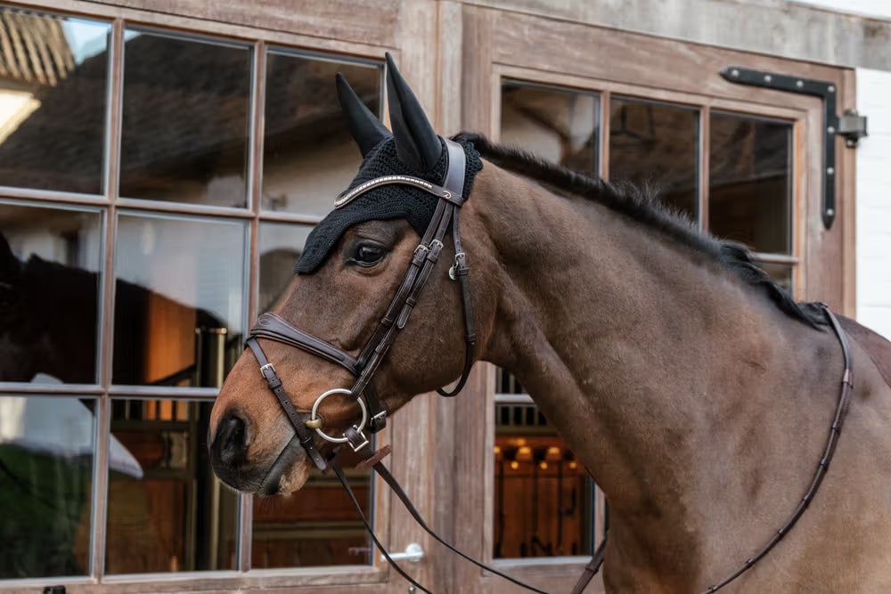 Kentucky Oornetje Wellington Soundless – detailfoto 8