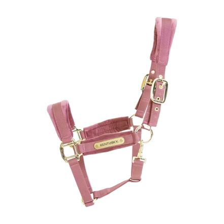 Kentucky Velvet Halfter