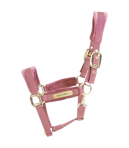 Kentucky Velvet Halfter