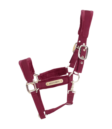 Kentucky Velvet Halfter