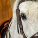 Dy’on lederen blinkers – detailfoto 4