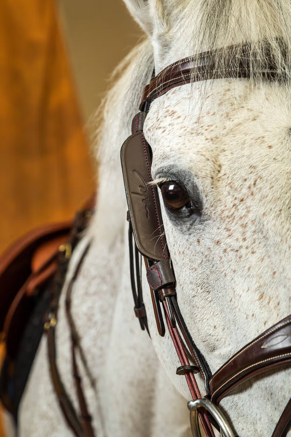 Dy’on lederen blinkers – detailfoto 4