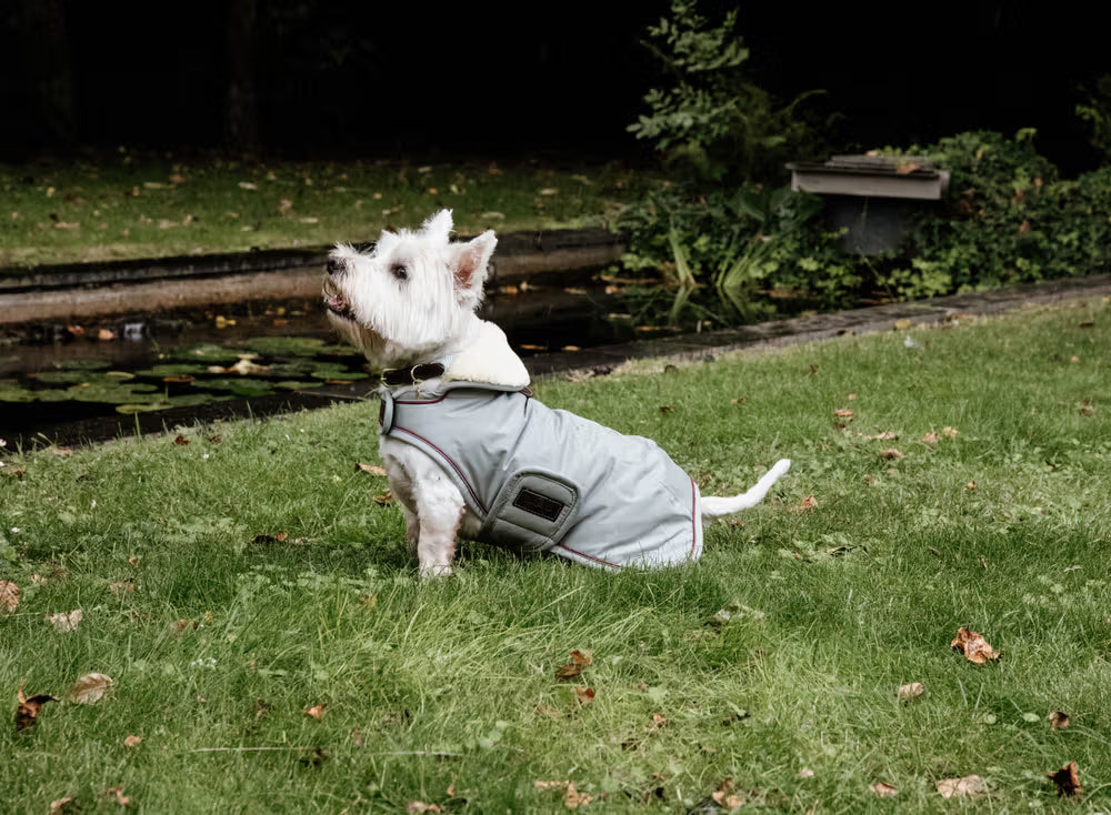 Kentucky Dog Coat Waterdicht 160gr – detailfoto 8