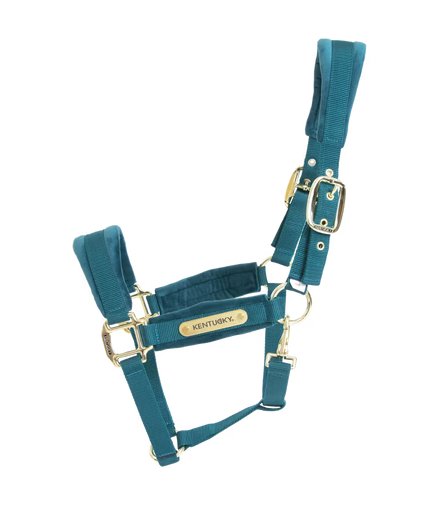 Kentucky Velvet Halfter