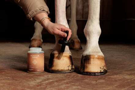 Kentucky Hoof Oil Shine