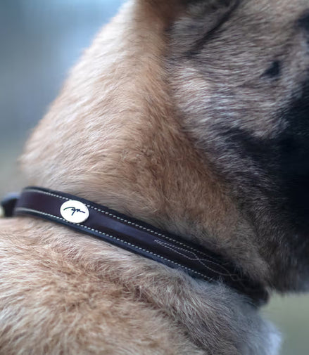 Dy'on Fancy Hundehalsband