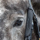 Dy’on lederen blinkers – detailfoto 3