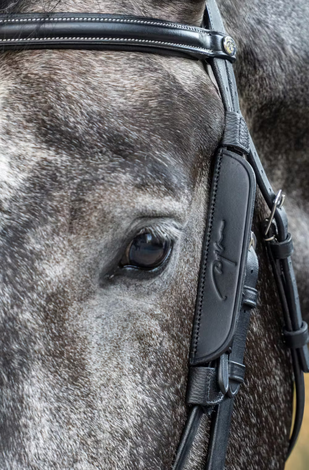 Dy’on lederen blinkers – detailfoto 3