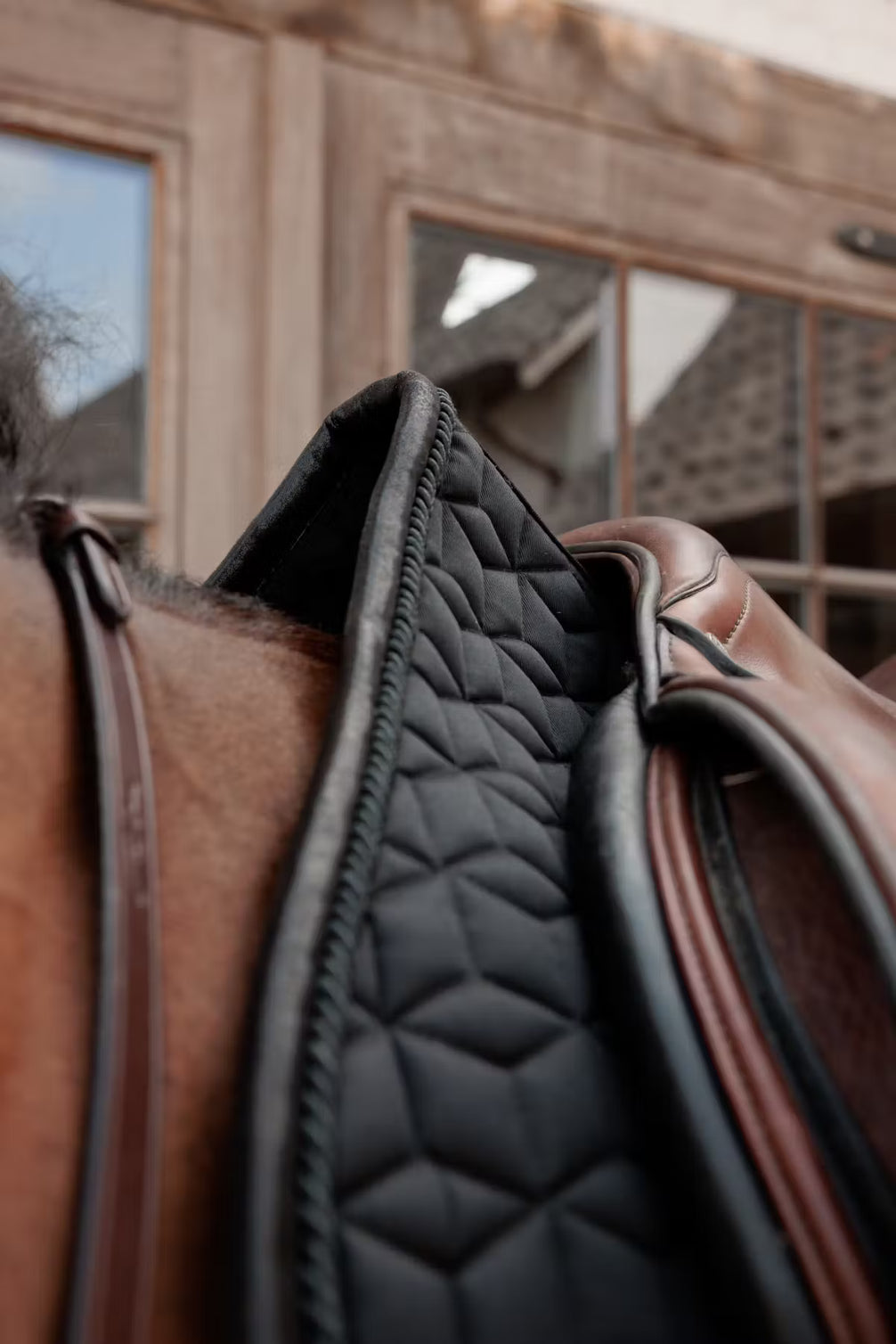 Kentucky Zadeldek Sparkling – detailfoto 15