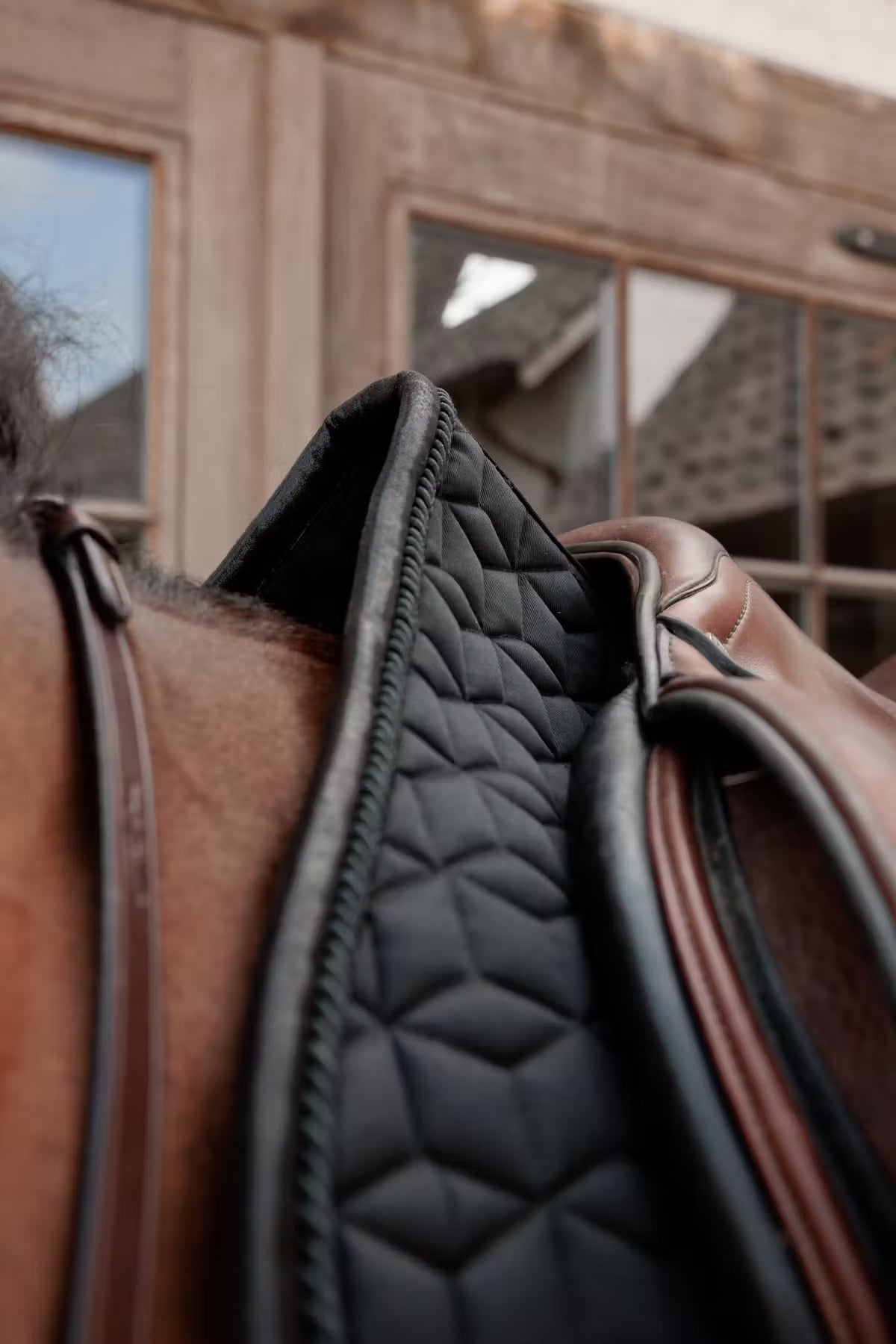 Kentucky Zadeldek Sparkling – detailfoto 15