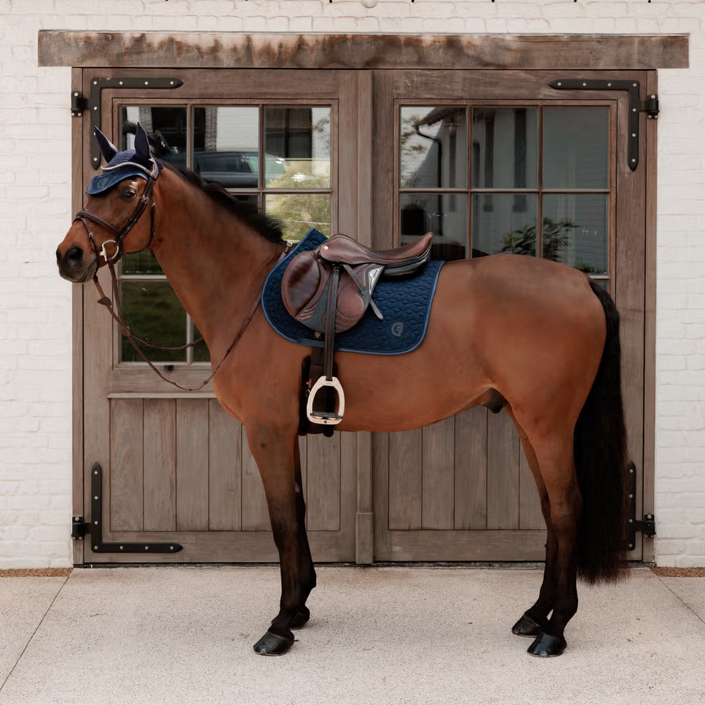 Kentucky Zadeldek Sparkling – detailfoto 19
